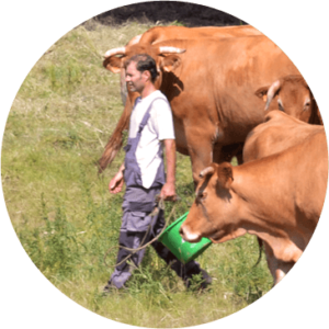 ferme biologique dans le Morbihan 56